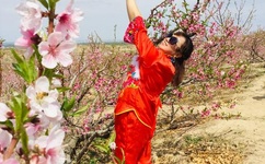 血恋1完整版百度影音